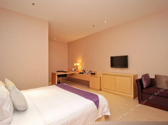 高级大床房（无窗）