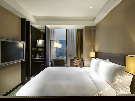 天鹰套房双人房