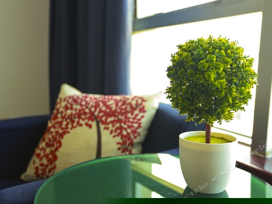 时尚简约双床房