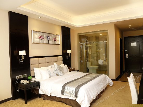 豪华休闲单人房