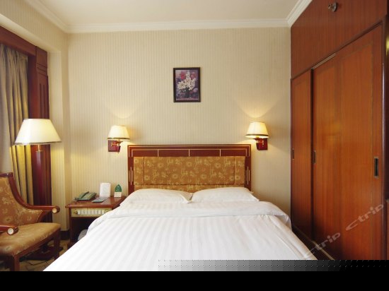 豪华商务单人房