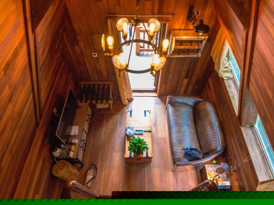 树屋世界伊甸园