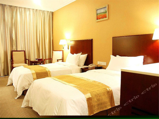 数码电脑双床房