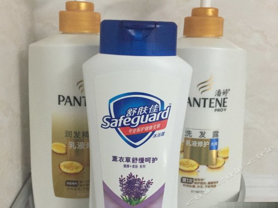 城市地标一室一厅套房