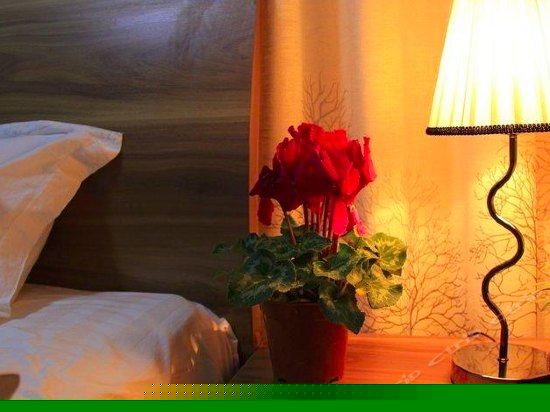 丛林星海主题大床房