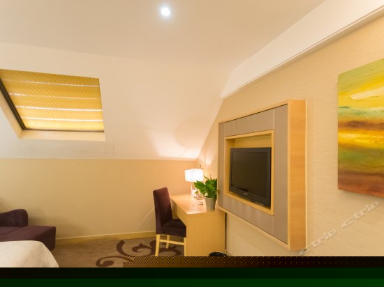 雅庭风情房(阁楼)