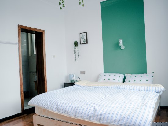 南北一号阳台绿色间