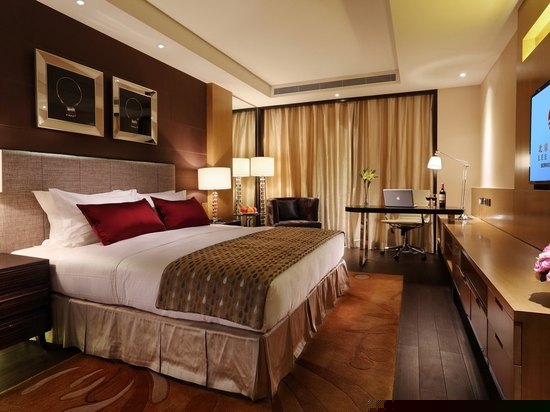 豪华一居室套房