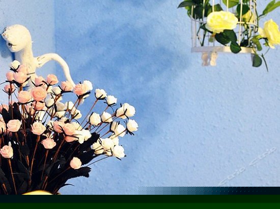 加勒比海的初夏