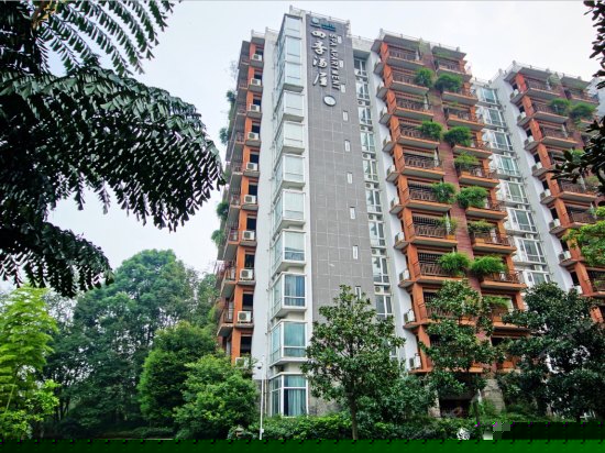 温泉SPA单卧套房