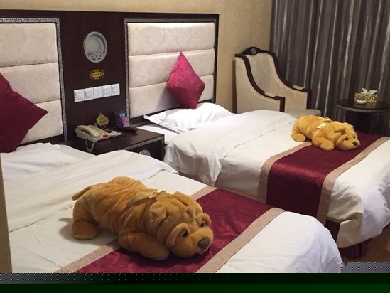 酒店房型