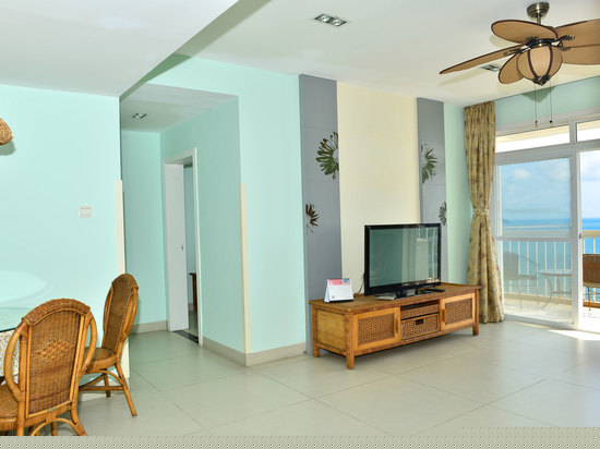 豪华海景两房一厅