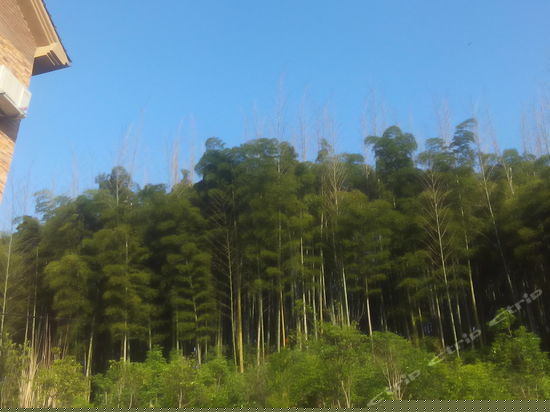 眺望远景