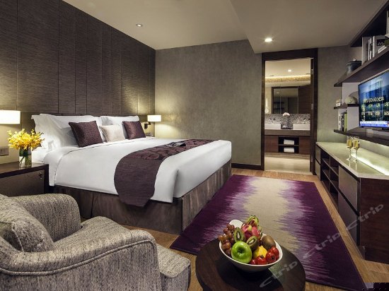 豪华行政单房公寓