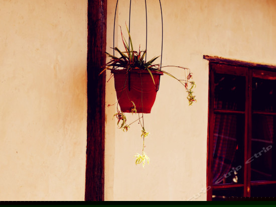 百合（观景情侣古典套房）