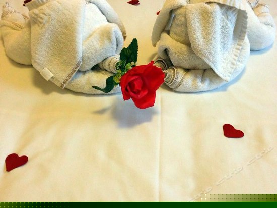 数码商务大床房