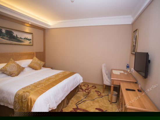 高级单人房(无窗)