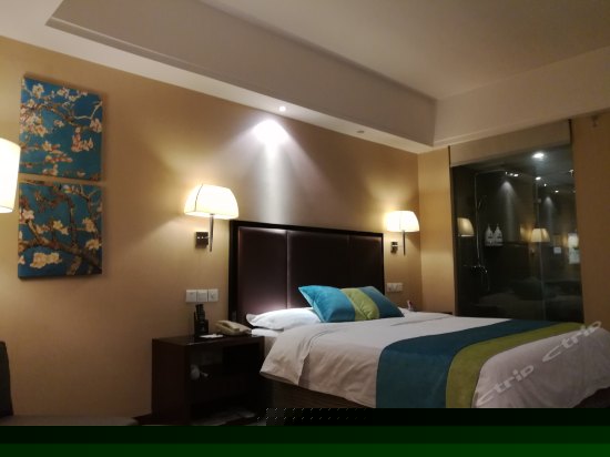 高级标准大床房