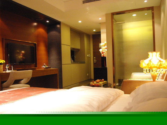 豪华城市景观房