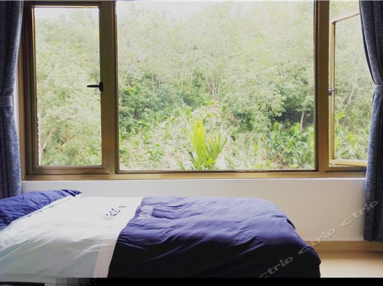 豪华丛林双标房