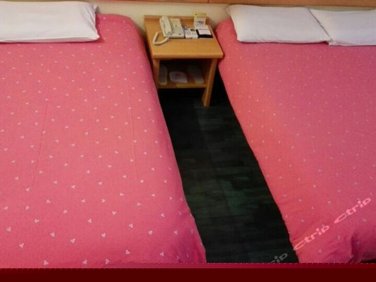 标准双人房(内宾)