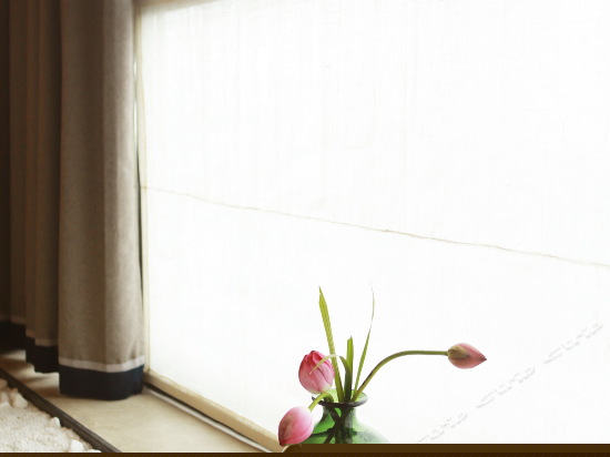 最美洱海阳台海景双床房