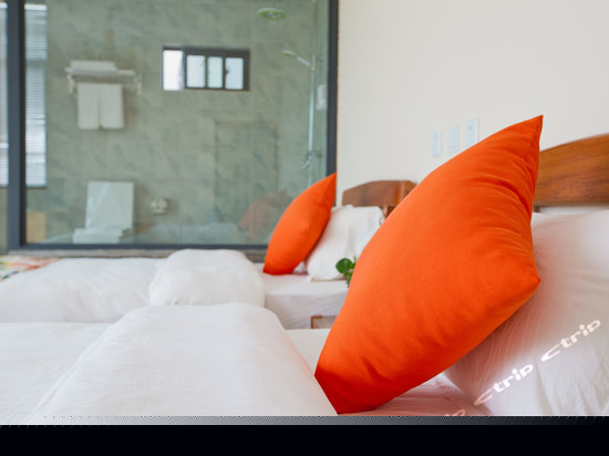 林荫涧露台标准间