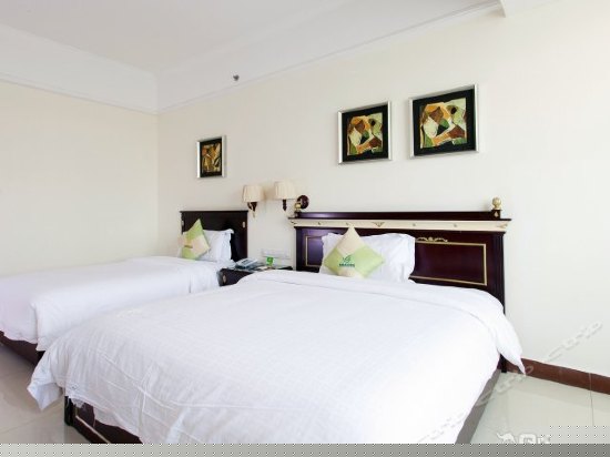 高级园景双人房