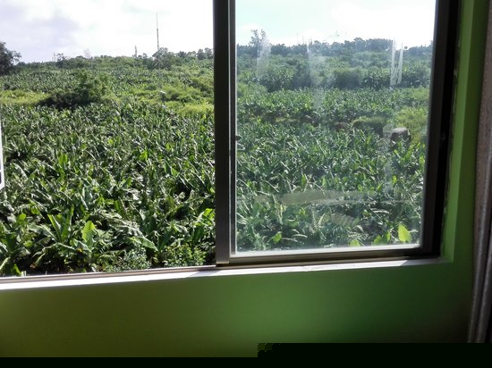 园林观景双人间