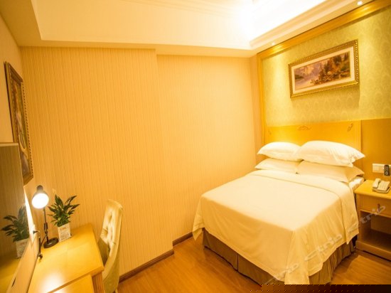 标准单人房（无窗）