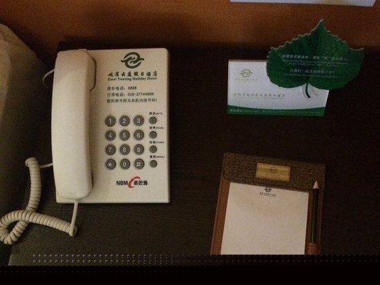 豪华山景家庭套房