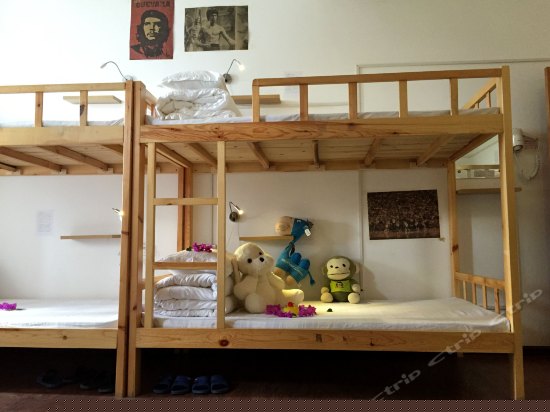 豪华混住14人间（按床位）