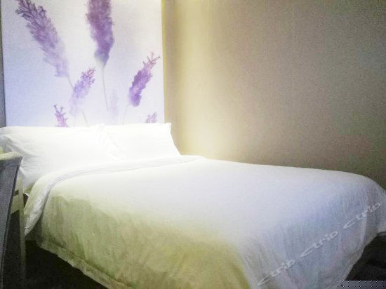 标准大床房（无窗）