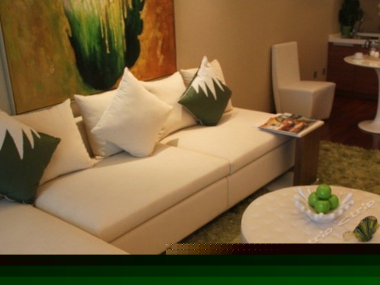 豪华山景行政房