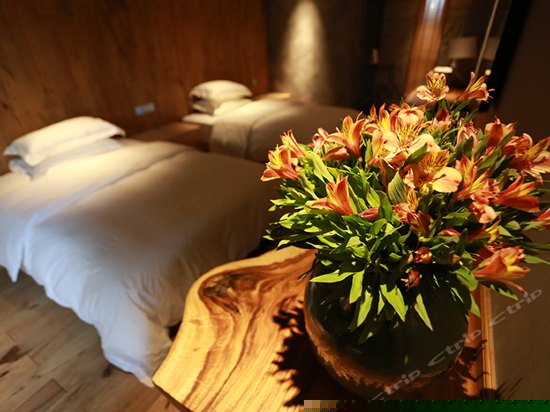 私密花园阳光双床房-问