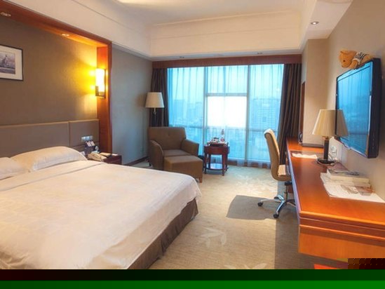 高级园景大床房