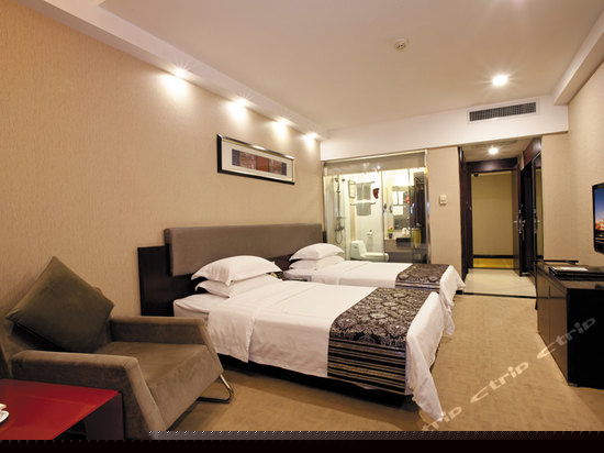 豪华商务双床房