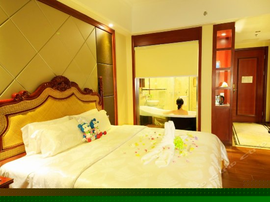 养生豪华贵宾房