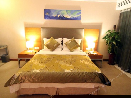 豪华商务大床间