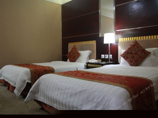 普通标间(无窗)