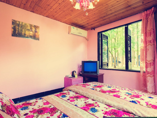 临河现代景观大床房