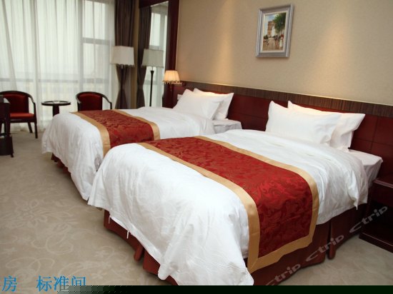 普通标准间