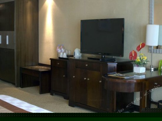 B座贵宾行政园景标间