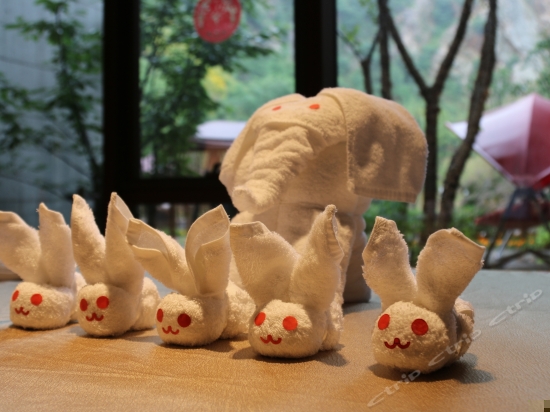 儿童乐园/儿童俱乐部