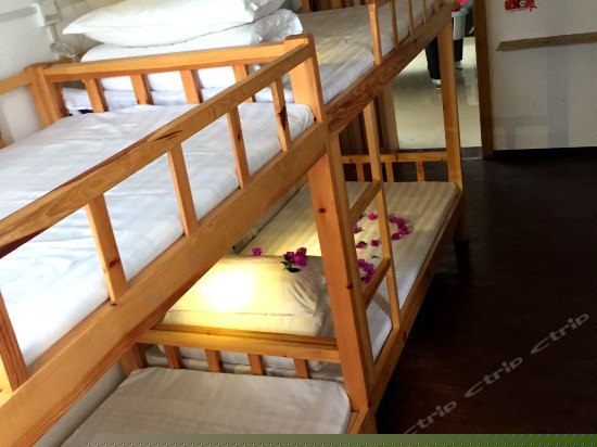 豪华女生6人间(床位)