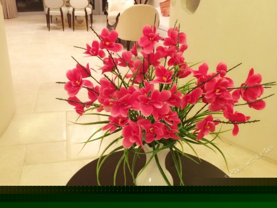 270°至尊家庭套（两房一厅）