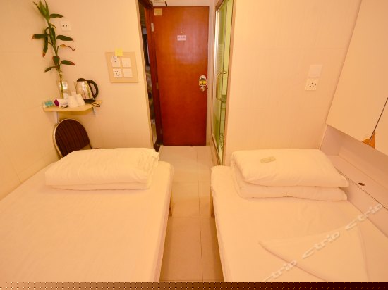 标准双床房（无窗）