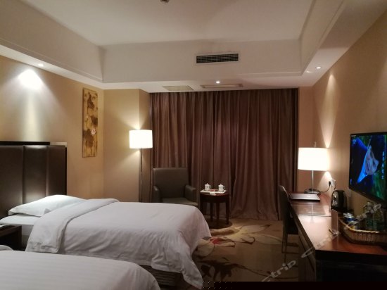 高级标准双床房