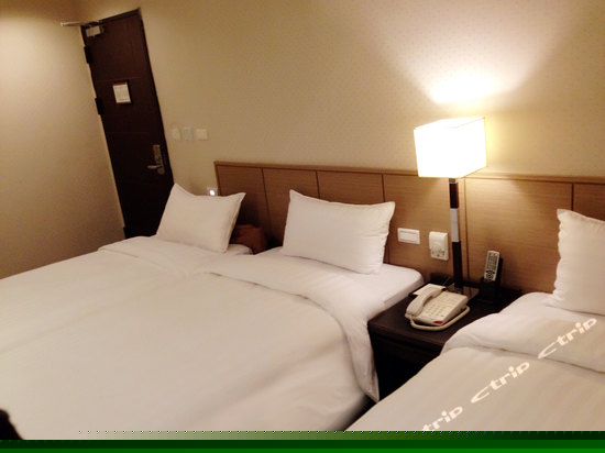 精致三人房 (无窗)