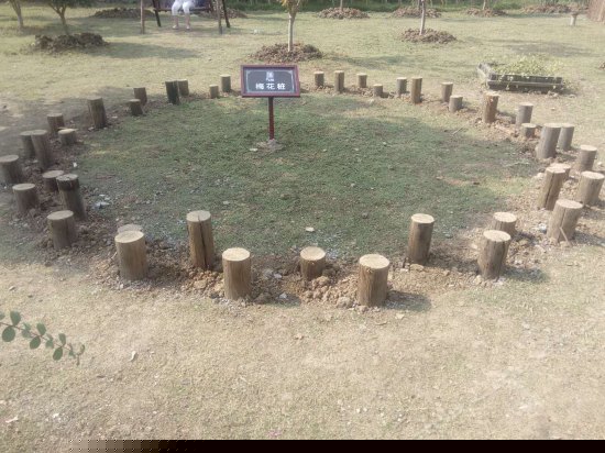 儿童乐园/儿童俱乐部